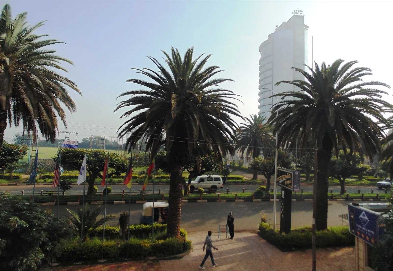 Palm-lined avenue in Bahir Dar