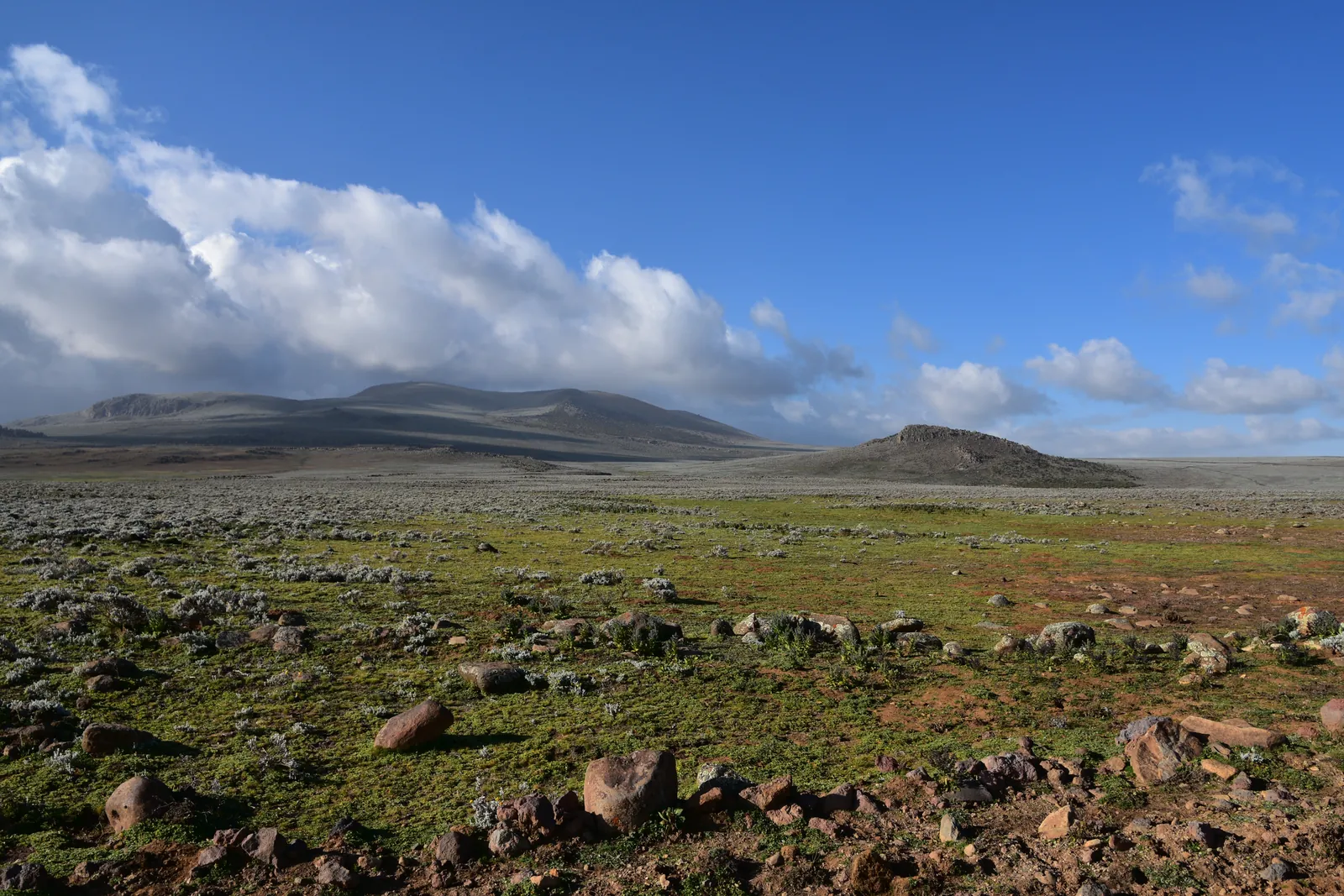Open moorland and distant ridges on the Sanetti Plateau