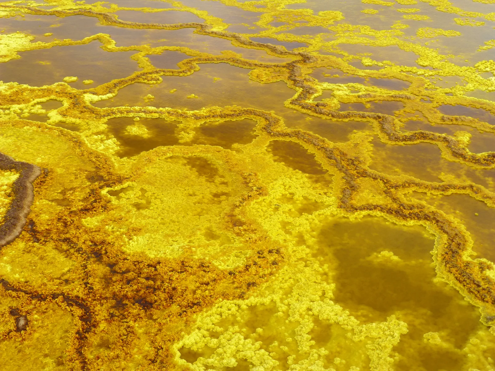 Yellow mineral formations surrounding shallow pools at Dallol