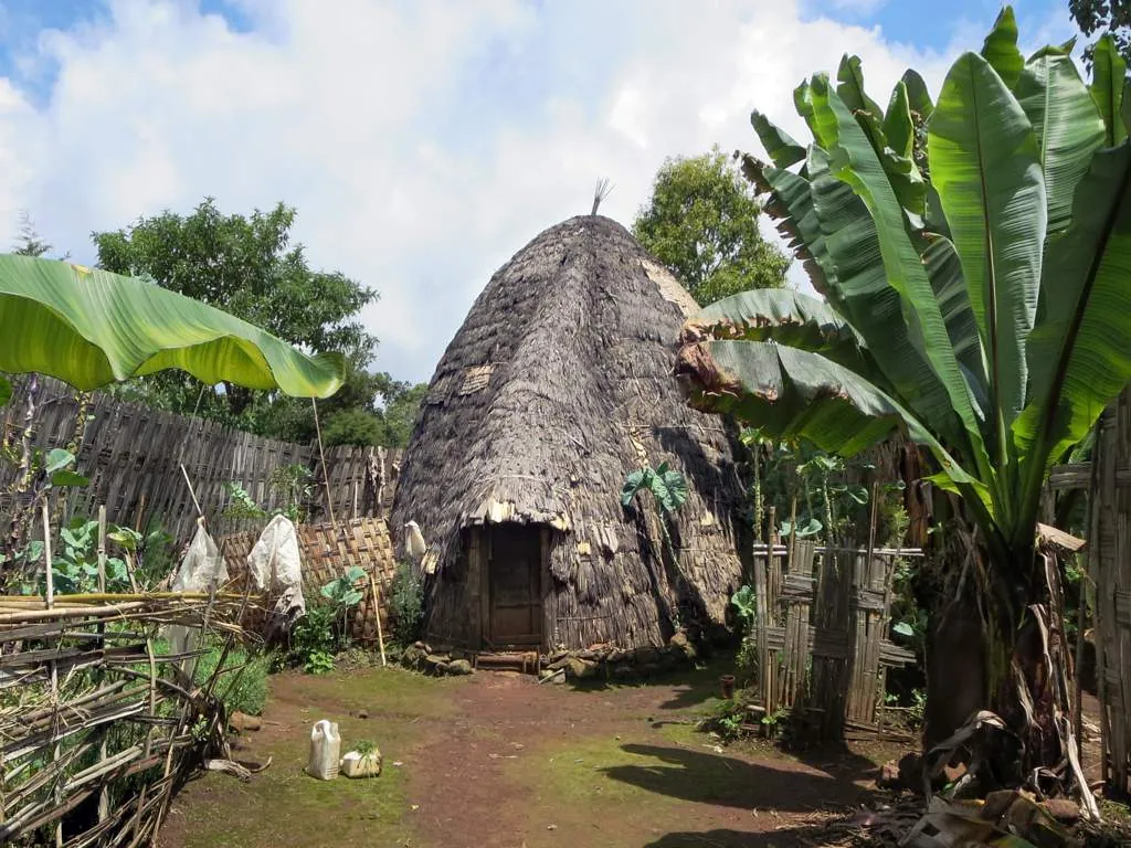 A tall woven house in the Dorze architectural tradition