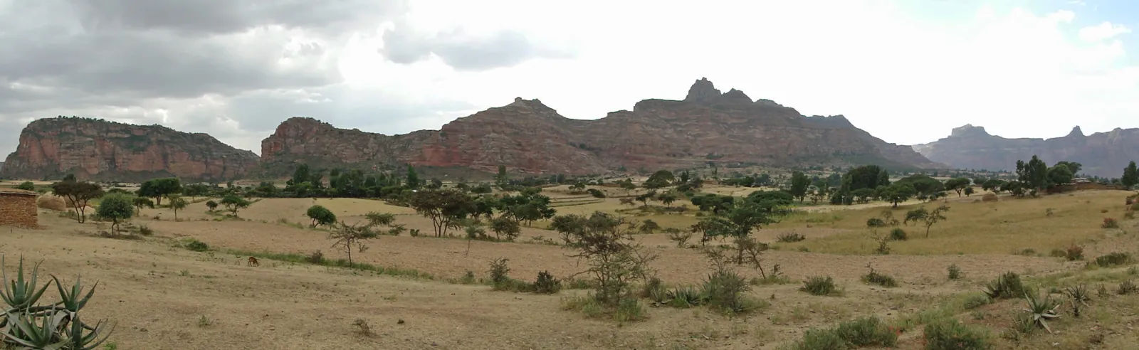 Gheralta sandstone ridges above cultivated land