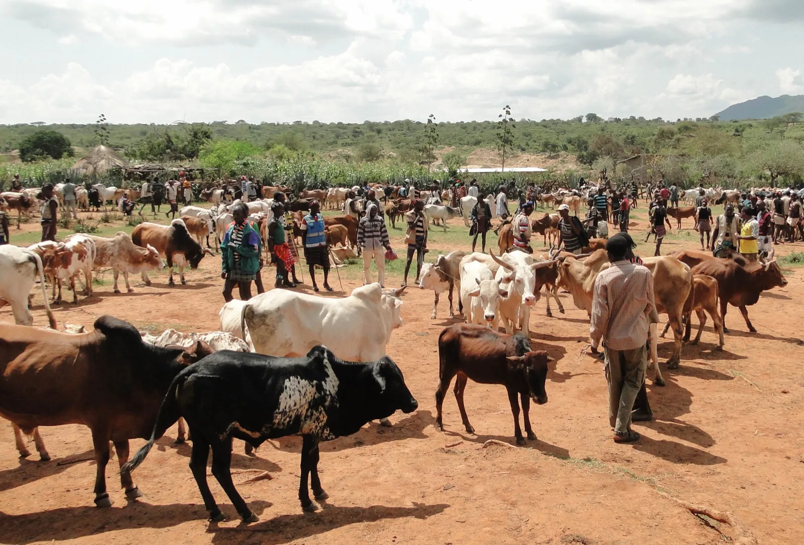 Banna traders at a market in South Omo