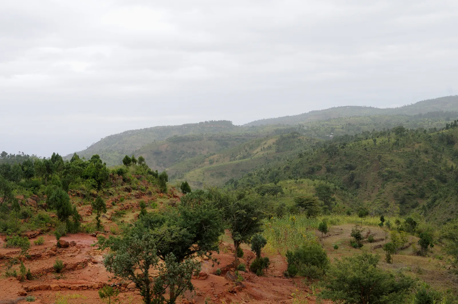 Terraced cultivated hills in the Konso landscape