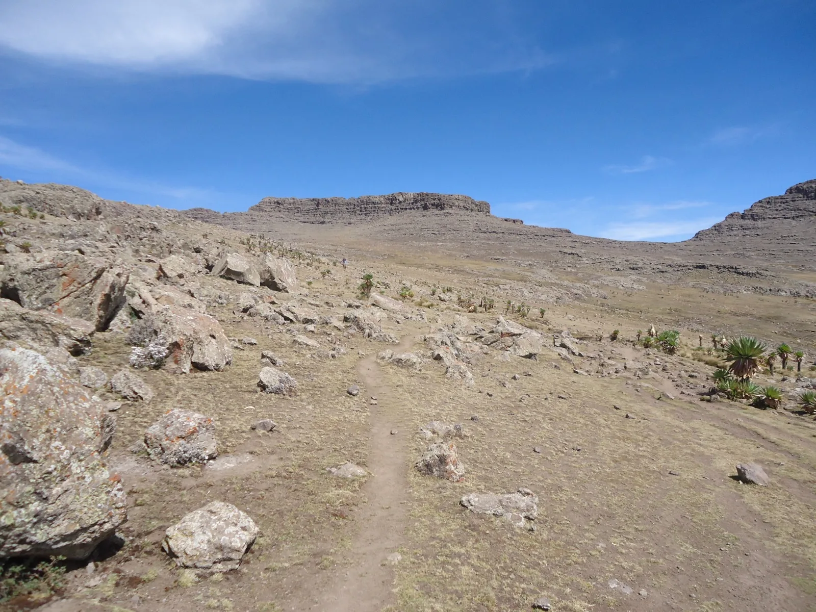 The rocky summit of Ras Dejen