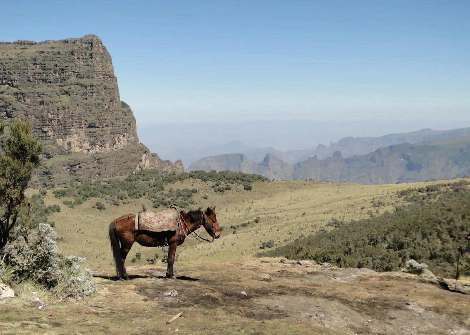 Layered ridges and valleys in Simien Mountains National Park