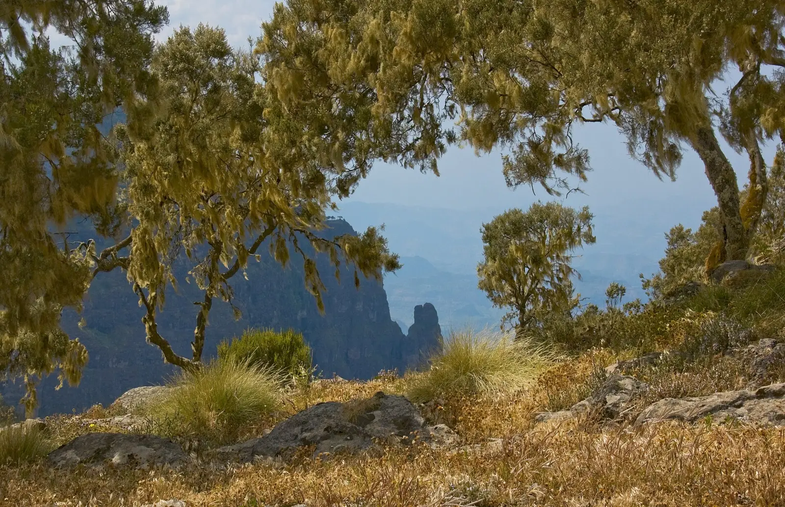 Escarpments and valleys in the Simien Mountains